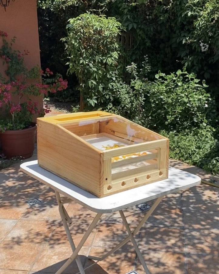 Deshidratadora Solar Clásica (2 bandejas)