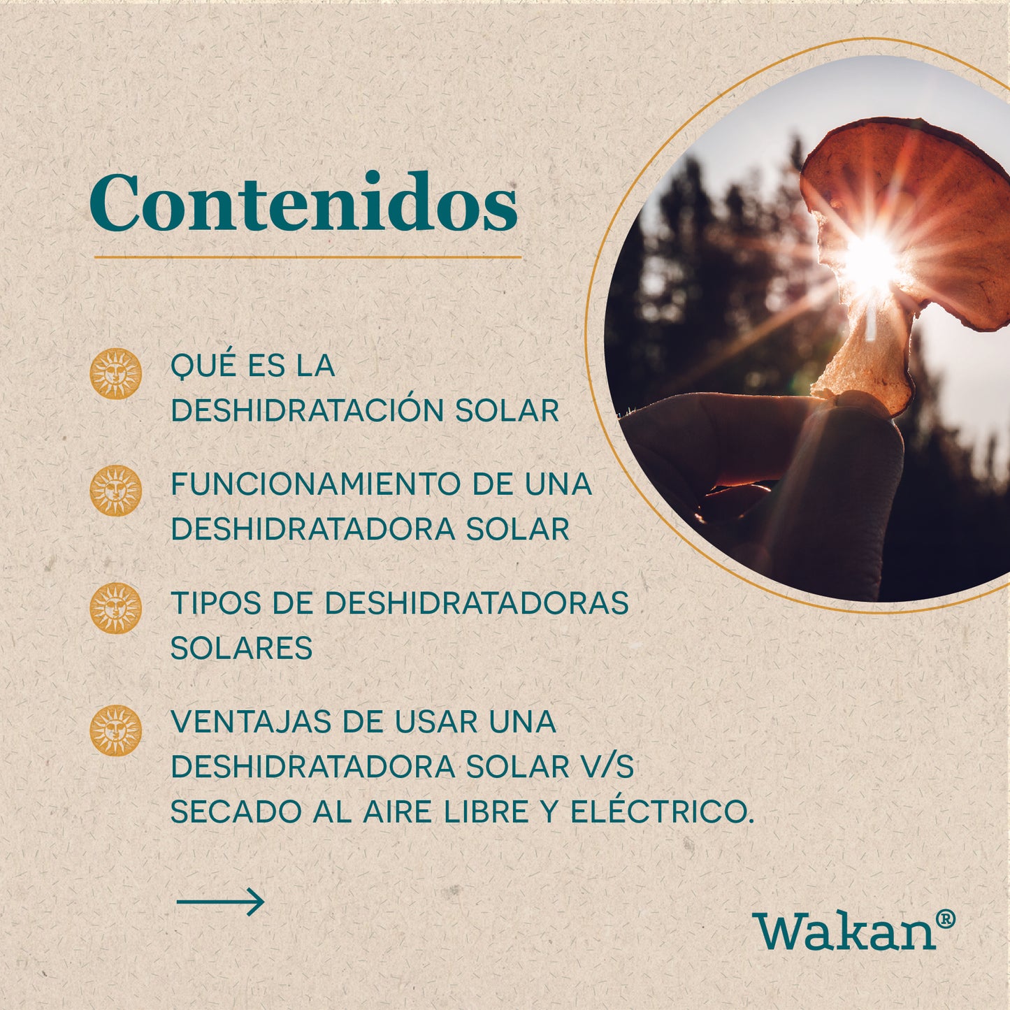 Taller Deshidratación Solar Online (grabado)