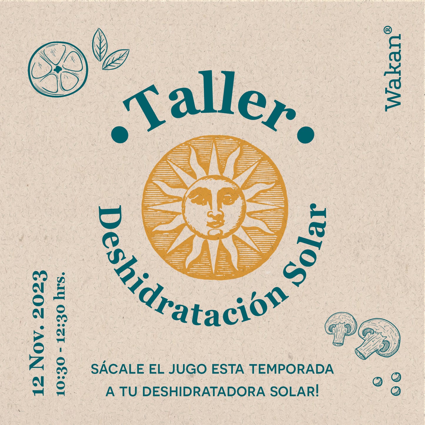 Taller Deshidratación Solar Online (grabado)